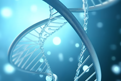 联合分析 | ATAC-seq与RNA-seq：开启基因表达调控的新视角