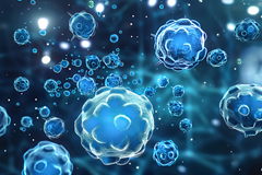 Science项目文章 | “孔明”，一种非经典核苷酸信号传导：细菌抗病毒策略的全新视角